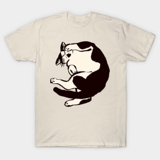 cute cats T-Shirt